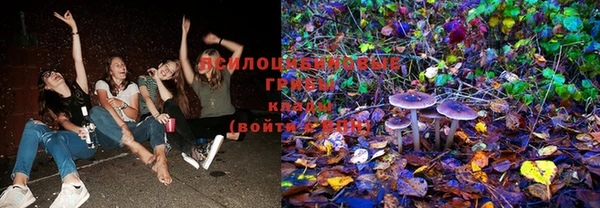 прущая мука Богданович
