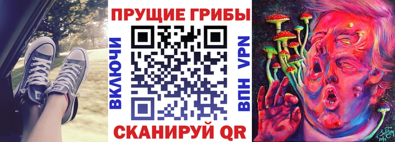 Галлюциногенные грибы прущие грибы  закладка  Пестово 